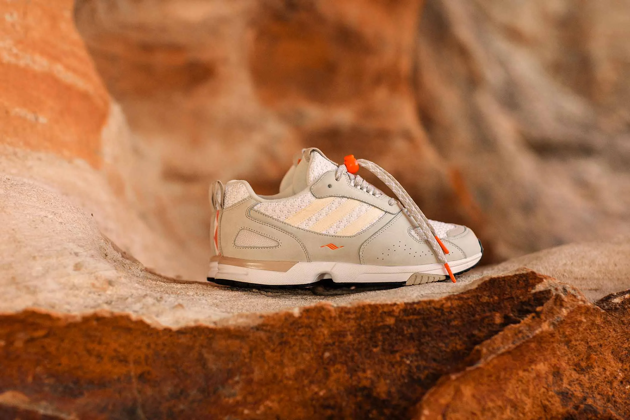 Adidas consortium 2025 zx 6